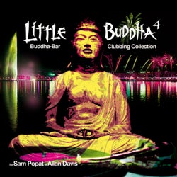 Little Buddha IV