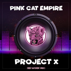 Project X (Re-Work Mix)