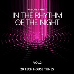 In the Rhythm of the Night (20 Tech House Tunes), Vol. 2