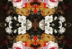 Pattern Perception