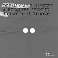 House Acid Groove