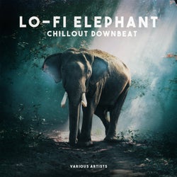 Lofi Elephant (Chillout Downbeat)