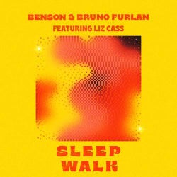Sleep Walk (Extended Mix)