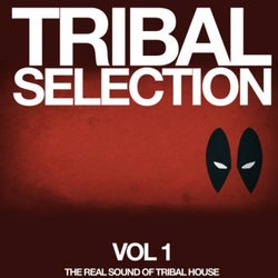 Tribal Selection, Vol. 1 (The Real Sound of Tribal House)