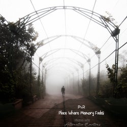 Place Where Memory Fades