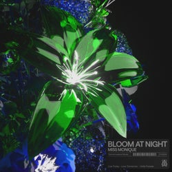 Bloom At Night (Extended Mix)