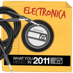 What You Missed 2011 - Electronica