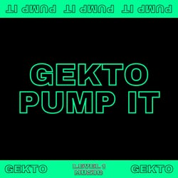 Pump It (Extended Mix)