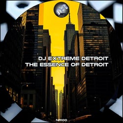 The Essence of Detroit