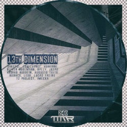 Copertina per 13Th Dimension