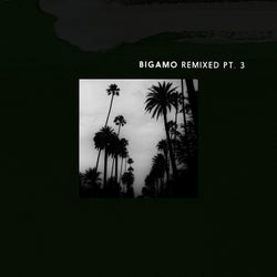 Bigamo Remixed Pt. 3