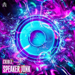 Speaker Junk