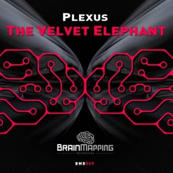 The Velvet Elephant