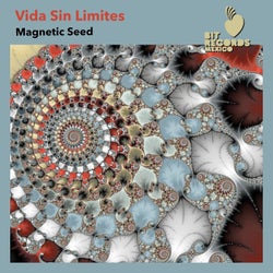 Vida Sin Limites