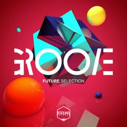GROOVE (Future Selection)