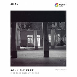 Soul Fly Free (FCD Code Discount Remix)