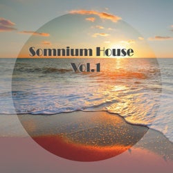 Somnium House, Vol. 1