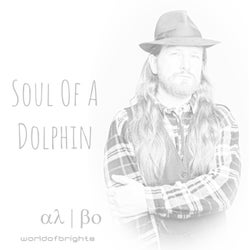 Soul Of A Dolphin