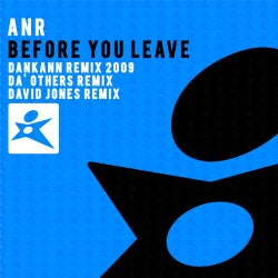 Before You Leave (The Remixes)