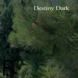 Destiny Dark