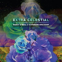 Extra Celestial