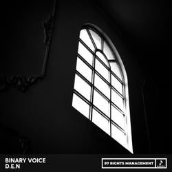 Binary Voice