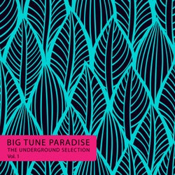 Big Tune Paradise - the Underground Selection, Vol. 1