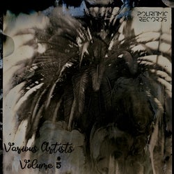 Volume 5