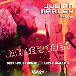 Jah Sees Them (Deep House Remix)