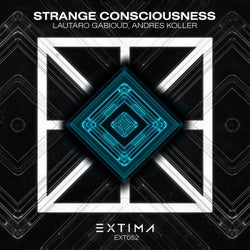 Strange Consciousness