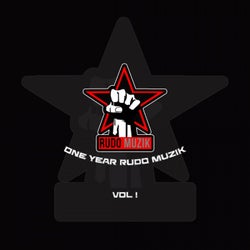 One Year Rudo Muzik Vol 1
