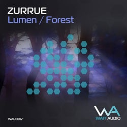 Lumen / Forest