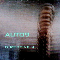 Directive 4