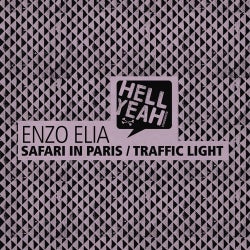 Safari In Paris / Traffic Light