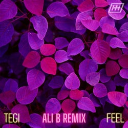 Feel (Ali.B Remix)