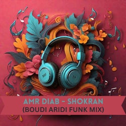 Amr Diab Shokran (Funk Mix)