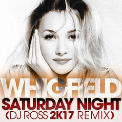Saturday Night (DJ Ross 2K17 Remix)