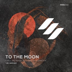 To the Moon // the Remixes