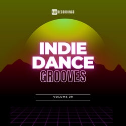 Indie Dance Grooves, Vol. 29