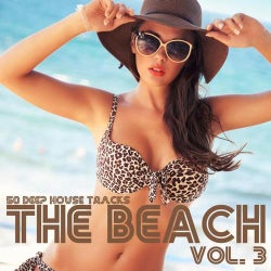 The Beach, Vol. 3