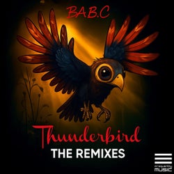 Thunderbird the Remixes