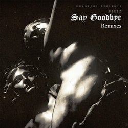 Say Goodbye Remixes