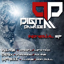 Digital Damage Records Individual EP