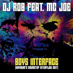 Boys Interface - Hayogan's Drumstep Interflow Edit