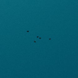 Blues