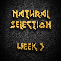 Natural Selection - Week 3