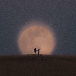 moonlight
