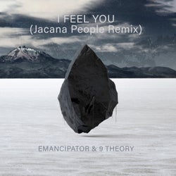 I Feel You (Jacana People Remix)
