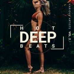 Hot Deep Beats, Vol. 2
