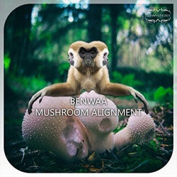 Mushroom Alignment